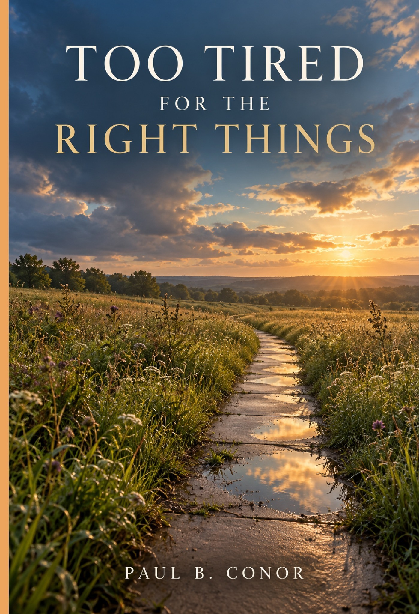 Cover of Too Tired for the Right Things